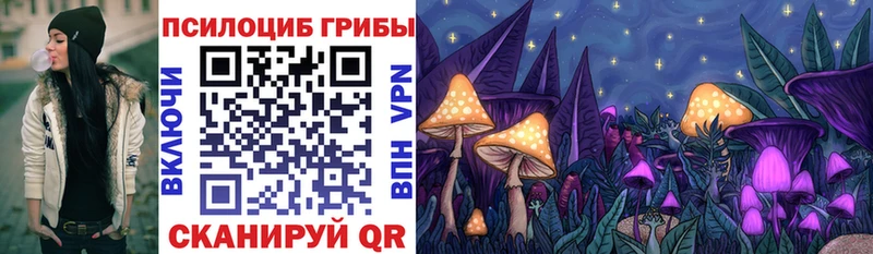 KRAKEN ссылки  Ленинск-Кузнецкий  Псилоцибиновые грибы Cubensis 